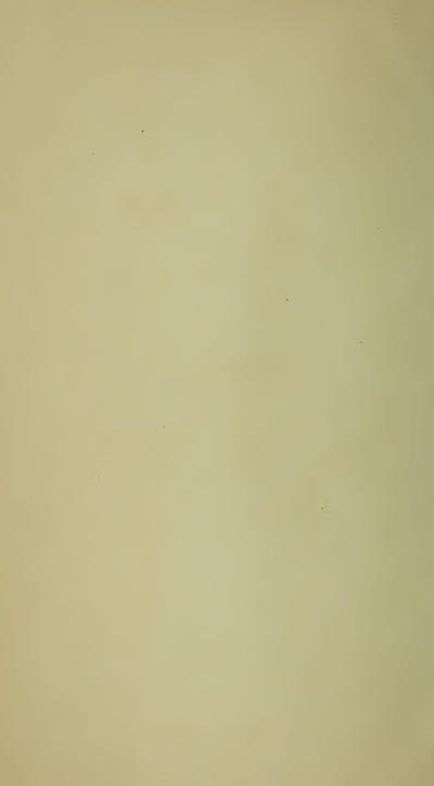 Image of page -3
